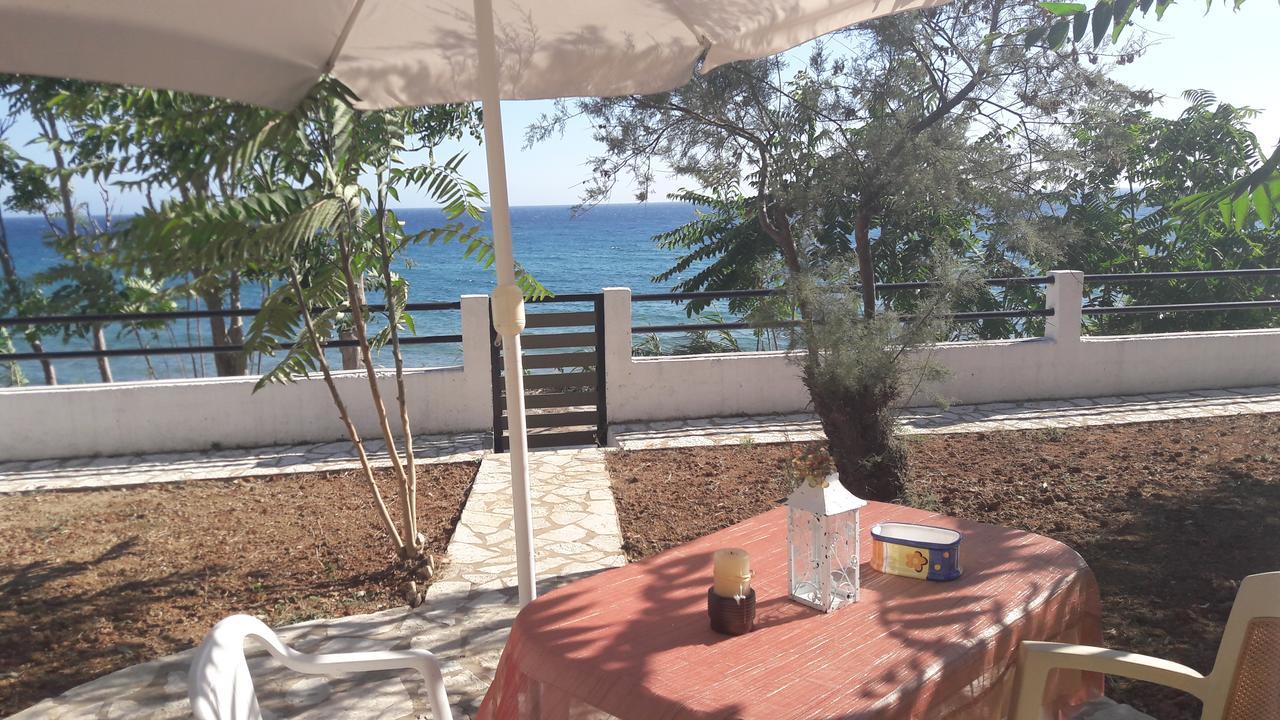 Foivos Seaside Apartments Agios Georgios  Exteriör bild